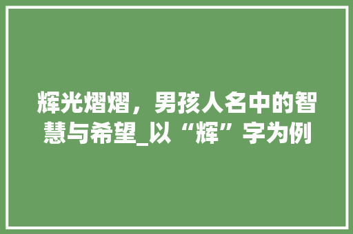 辉光熠熠,男孩人名中的智慧与希望_以“辉”字为例