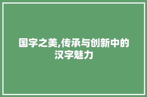 国字之美,传承与创新中的汉字魅力 第1张 国字之美,传承与创新中的汉字魅力 第1张