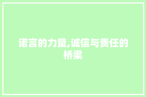 诺言的力量,诚信与责任的桥梁