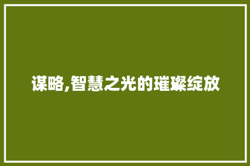 谋略,智慧之光的璀璨绽放