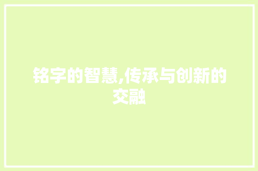 铭字的智慧,传承与创新的交融