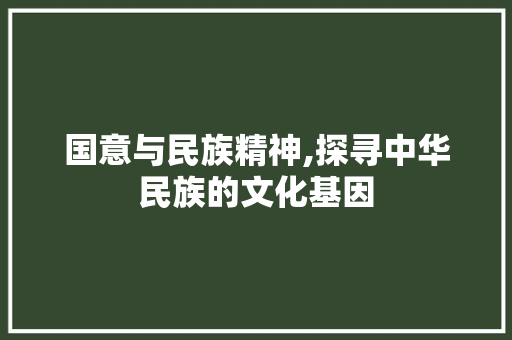 国意与民族精神,探寻中华民族的文化基因