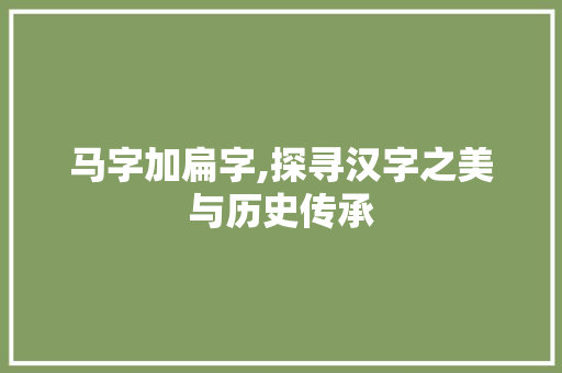 马字加扁字,探寻汉字之美与历史传承