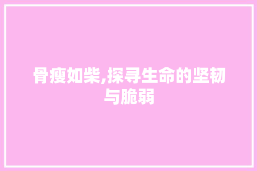 骨瘦如柴,探寻生命的坚韧与脆弱