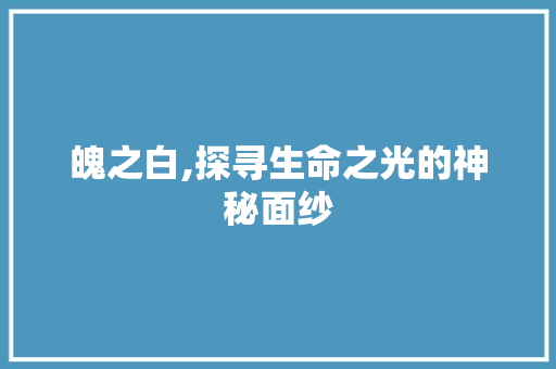 魄之白,探寻生命之光的神秘面纱