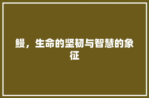 鳗，生命的坚韧与智慧的象征