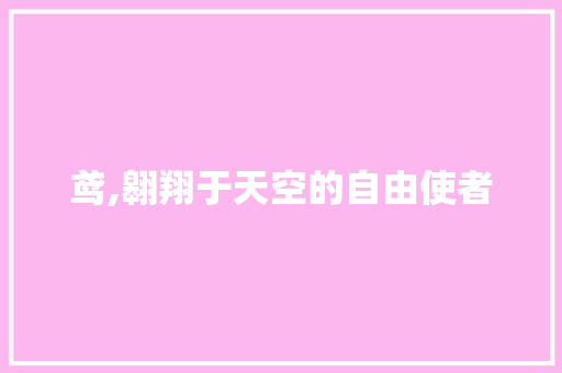 鸢,翱翔于天空的自由使者