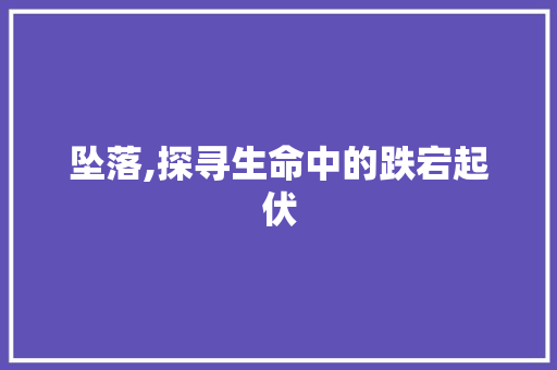 坠落,探寻生命中的跌宕起伏 第1张 坠落,探寻生命中的跌宕起伏 第1张