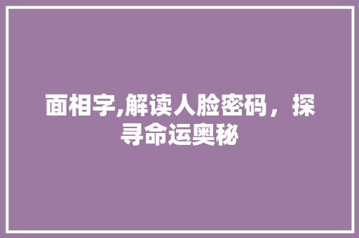 面相字,解读人脸密码，探寻命运奥秘