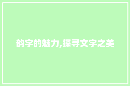 韵字的魅力,探寻文字之美