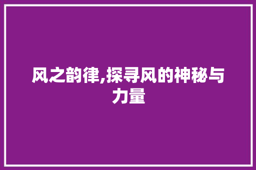 风之韵律,探寻风的神秘与力量