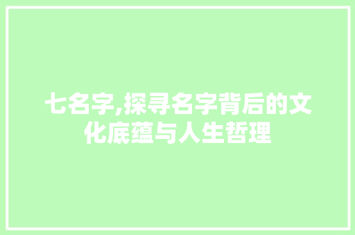 七名字,探寻名字背后的文化底蕴与人生哲理 第1张 七名字,探寻名字背后的文化底蕴与人生哲理 第1张