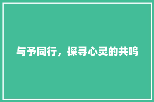 与予同行，探寻心灵的共鸣