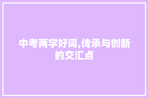 中考两字好词,传承与创新的交汇点