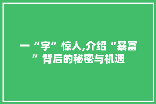 一“字”惊人,介绍“暴富”背后的秘密与机遇