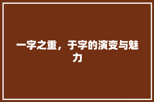 一字之重，于字的演变与魅力