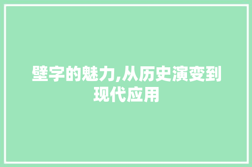 壁字的魅力,从历史演变到现代应用