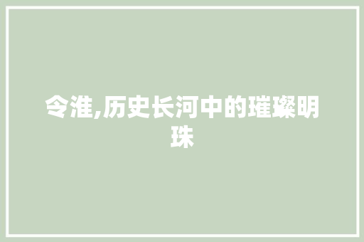 令淮,历史长河中的璀璨明珠