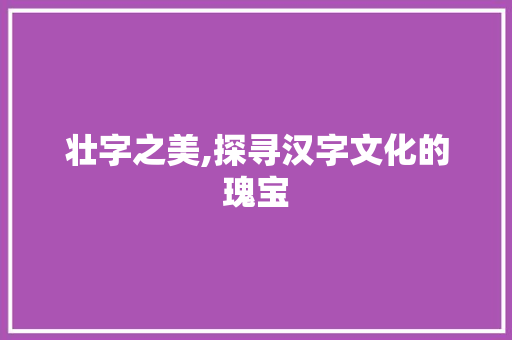 壮字之美,探寻汉字文化的瑰宝