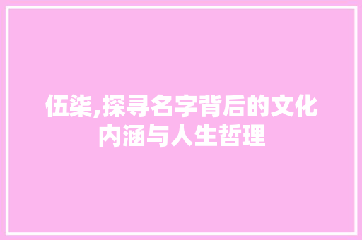 伍柒,探寻名字背后的文化内涵与人生哲理