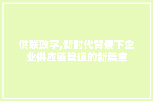 供联政字,新时代背景下企业供应链管理的新篇章