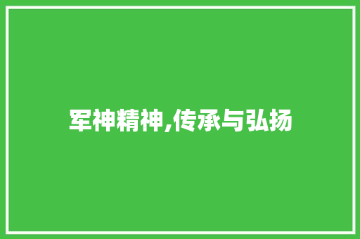 军神精神,传承与弘扬 第1张 军神精神,传承与弘扬 第1张