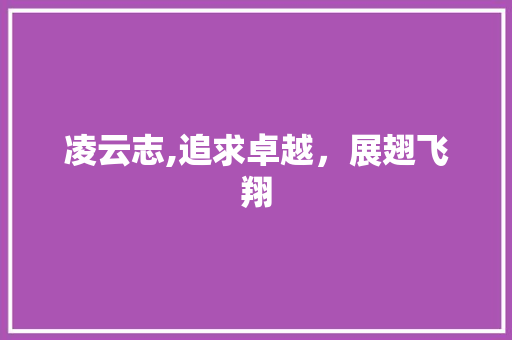 凌云志,追求卓越,展翅飞翔 第1张 凌云志,追求卓越,展翅飞翔 第1张