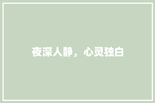 夜深人静，心灵独白