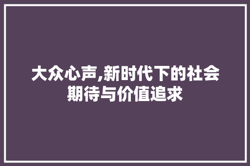 大众心声,新时代下的社会期待与价值追求  第1张
