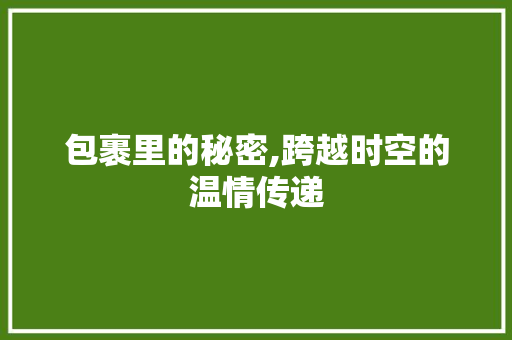 包裹里的秘密,跨越时空的温情传递