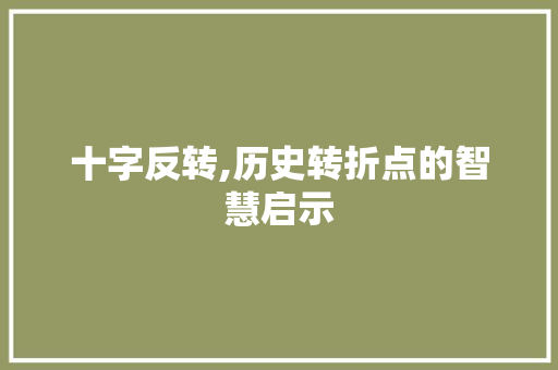 十字反转,历史转折点的智慧启示