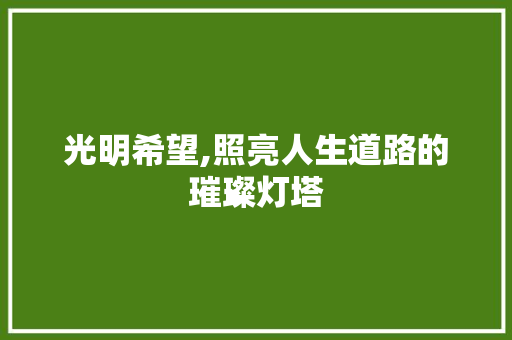 光明希望,照亮人生道路的璀璨灯塔