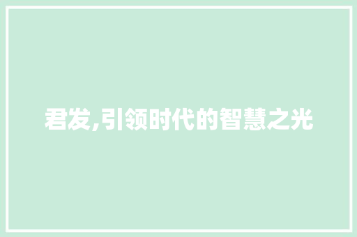 君发,引领时代的智慧之光 第1张 君发,引领时代的智慧之光 第1张