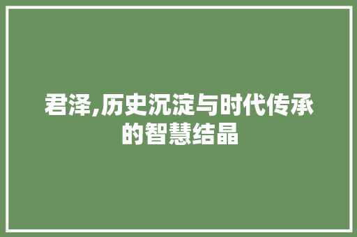 君泽,历史沉淀与时代传承的智慧结晶 第1张 君泽,历史沉淀与时代传承的智慧结晶 第1张
