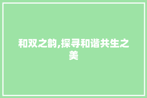 和双之韵,探寻和谐共生之美  第1张