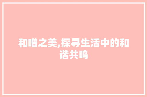 和噌之美,探寻生活中的和谐共鸣