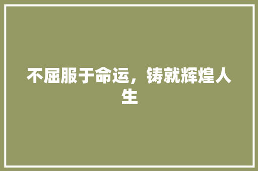 不屈服于命运,铸就辉煌人生