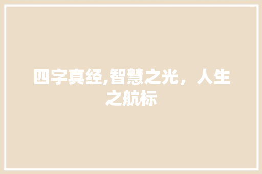 四字真经,智慧之光，人生之航标