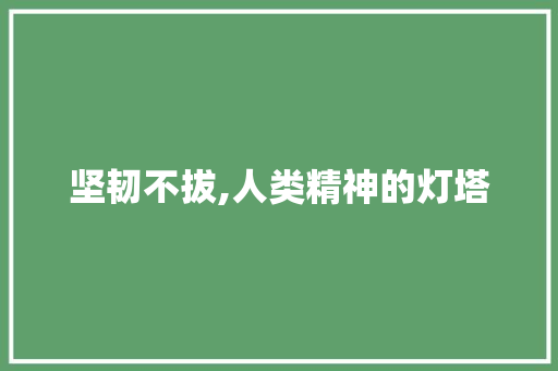 坚韧不拔,人类精神的灯塔