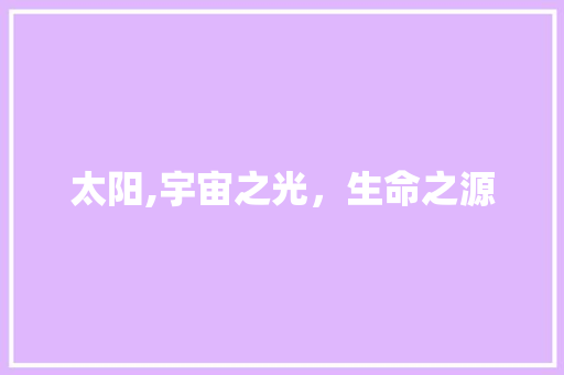 太阳,宇宙之光，生命之源