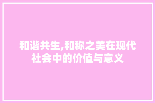和谐共生,和称之美在现代社会中的价值与意义