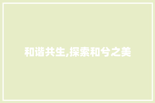 和谐共生,探索和兮之美