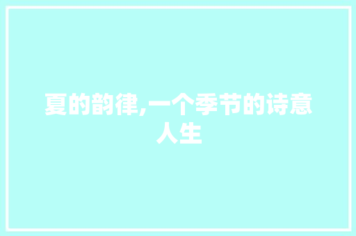 夏的韵律,一个季节的诗意人生