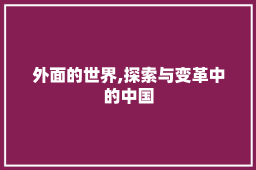 外面的世界,探索与变革中的中国