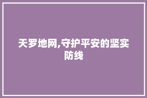 天罗地网,守护平安的坚实防线