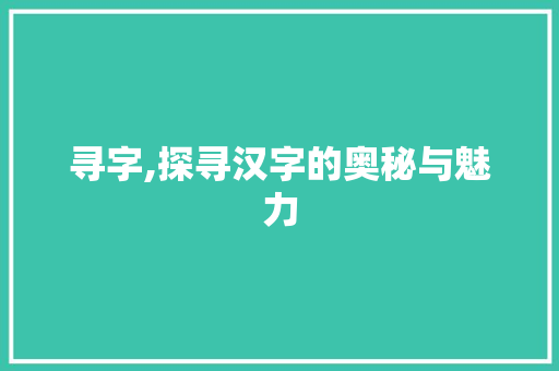 寻字,探寻汉字的奥秘与魅力