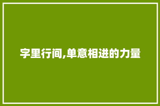 字里行间,单意相进的力量
