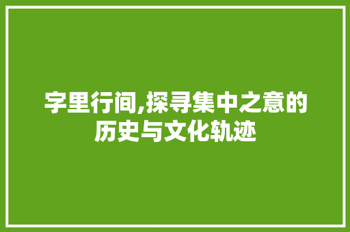 字里行间,探寻集中之意的历史与文化轨迹