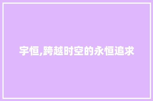宇恒,跨越时空的永恒追求