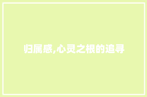 归属感,心灵之根的追寻